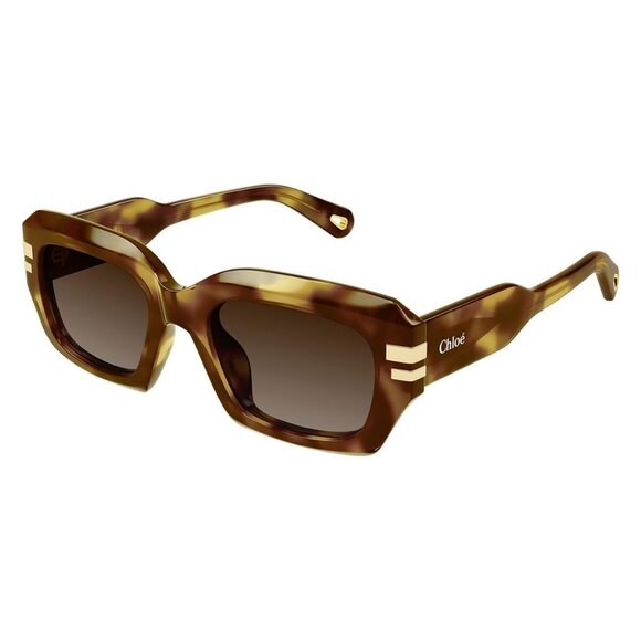 New CHLOE Havana Square CH0256S 002 Sunglasses Women - Picture 1 of 4